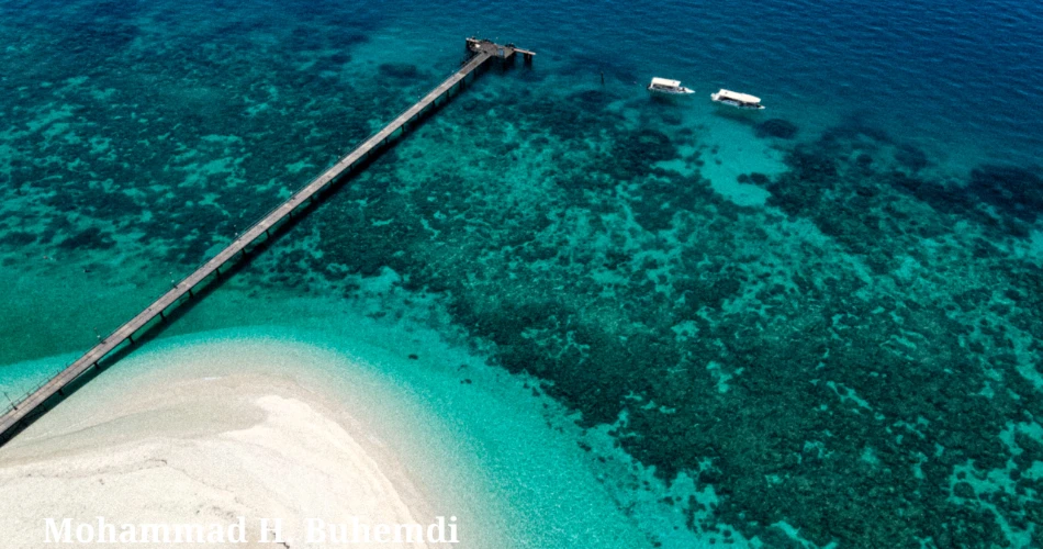 20 Mejores Cosas que Hacer en Kuwait