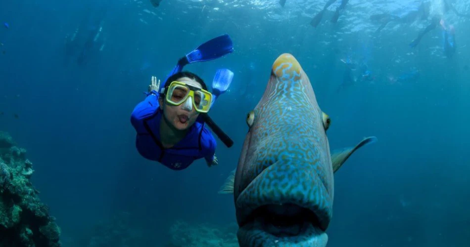 10 Mejores Cosas para Hacer en Kuwait